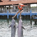 Hedvig balancerer på delifiner